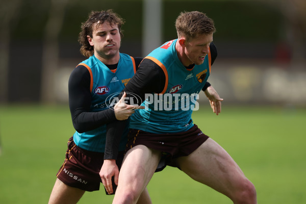 AFL 2024 Training - Hawthorn 040924 - A-53676702