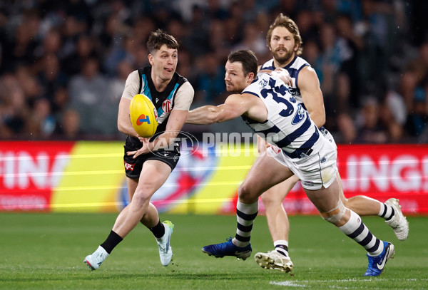 AFL 2024 Second Qualifying Final - Port Adelaide v Geelong - A-53689149