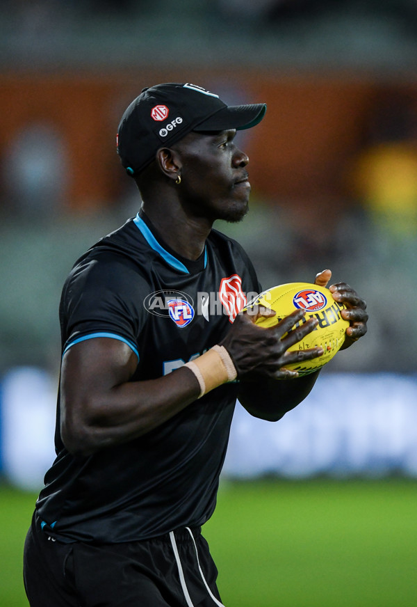 AFL 2024 Second Qualifying Final - Port Adelaide v Geelong - A-53689158