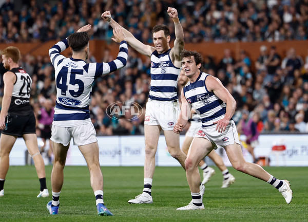 AFL 2024 Second Qualifying Final - Port Adelaide v Geelong - A-53689168