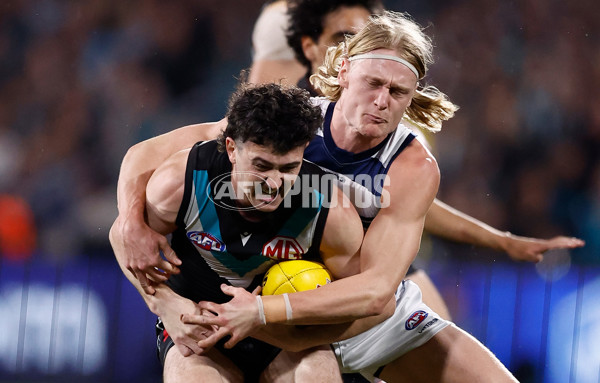 AFL 2024 Second Qualifying Final - Port Adelaide v Geelong - A-53689171