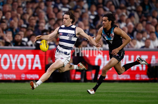 AFL 2024 Second Qualifying Final - Port Adelaide v Geelong - A-53691264