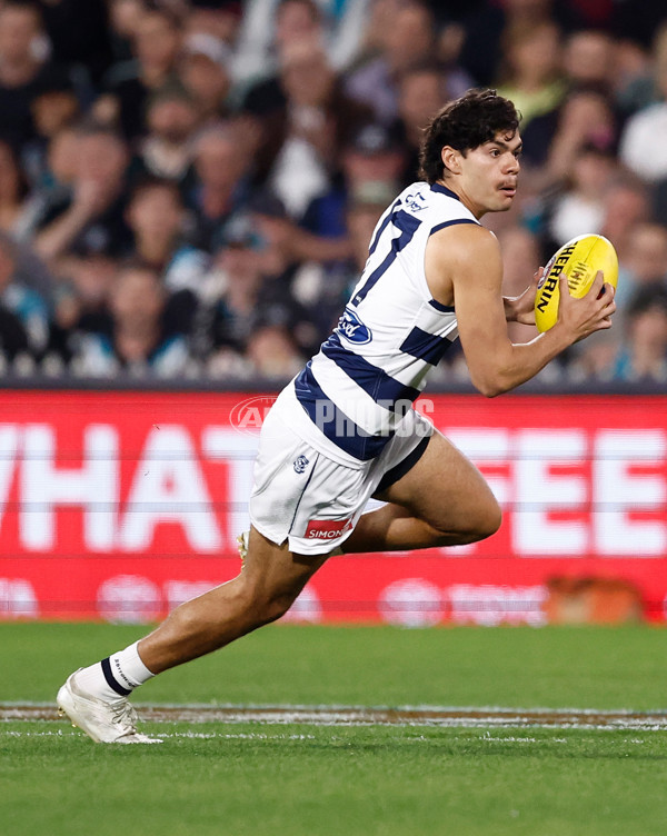 AFL 2024 Second Qualifying Final - Port Adelaide v Geelong - A-53691274