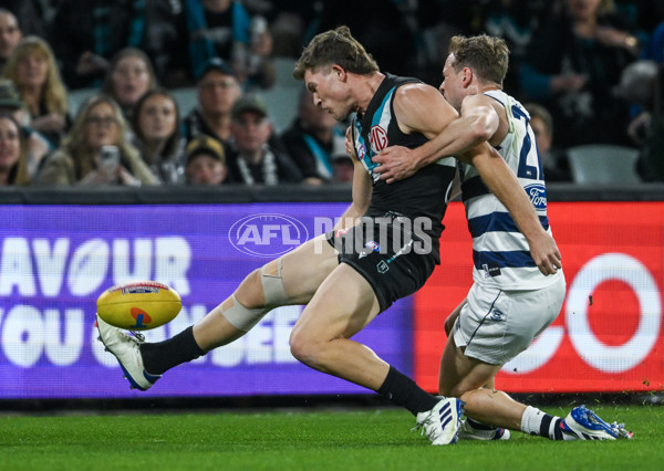 AFL 2024 Second Qualifying Final - Port Adelaide v Geelong - A-53691282