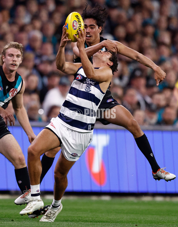AFL 2024 Second Qualifying Final - Port Adelaide v Geelong - A-53691286