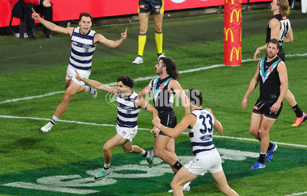 AFL 2024 Second Qualifying Final - Port Adelaide v Geelong - A-53692913