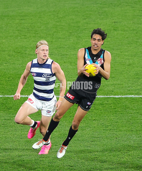 AFL 2024 Second Qualifying Final - Port Adelaide v Geelong - A-53692935
