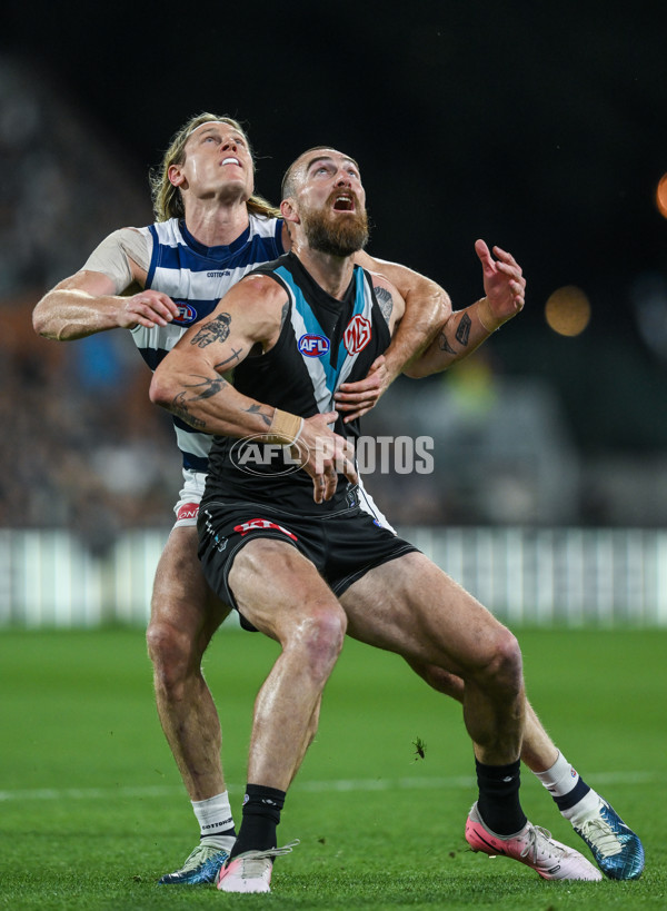 AFL 2024 Second Qualifying Final - Port Adelaide v Geelong - A-53692938