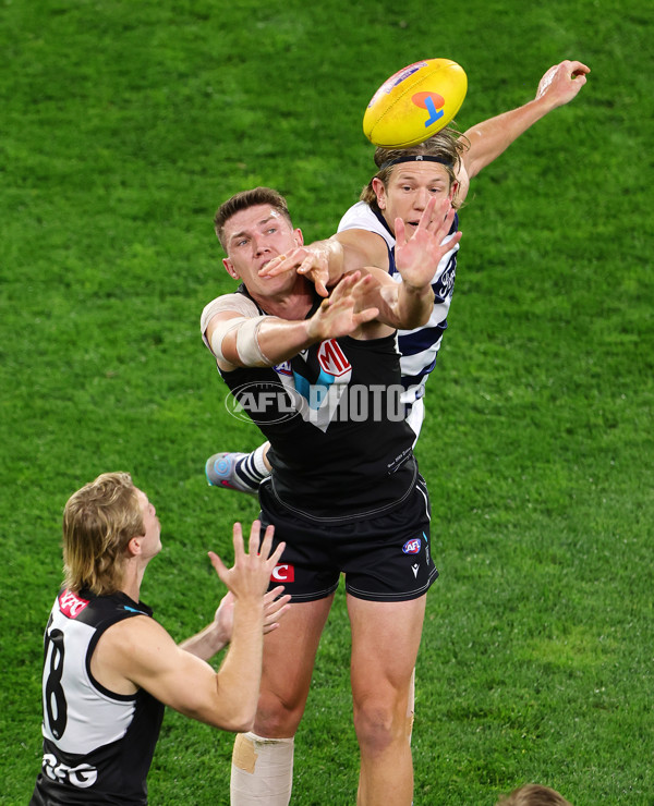 AFL 2024 Second Qualifying Final - Port Adelaide v Geelong - A-53692942
