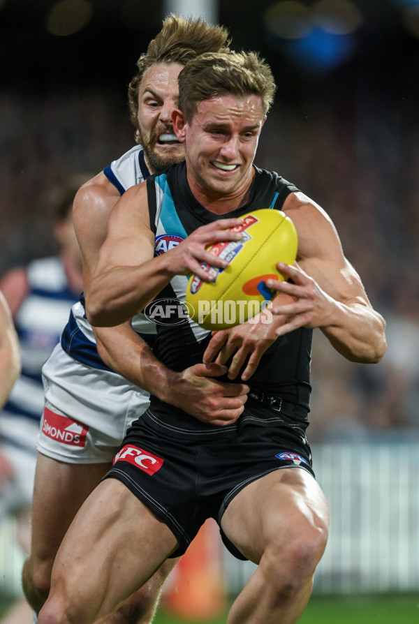 AFL 2024 Second Qualifying Final - Port Adelaide v Geelong - A-53692948