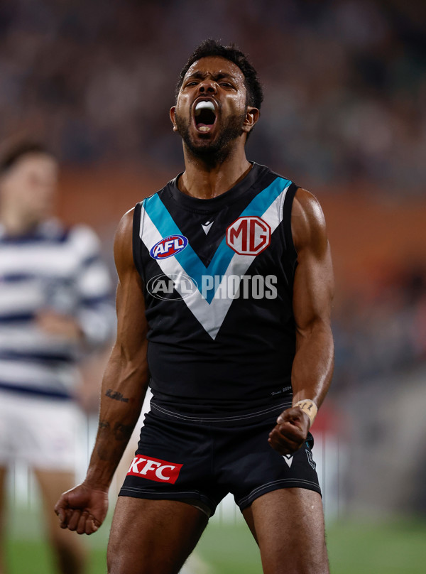 AFL 2024 Second Qualifying Final - Port Adelaide v Geelong - A-53692979