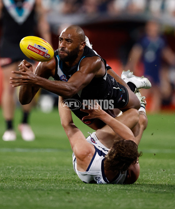 AFL 2024 Second Qualifying Final - Port Adelaide v Geelong - A-53692981