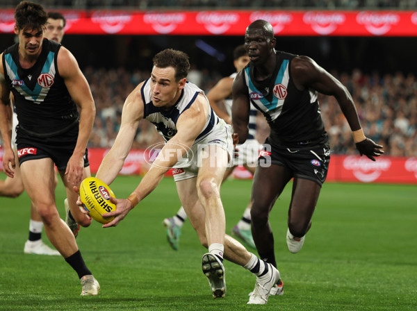 AFL 2024 Second Qualifying Final - Port Adelaide v Geelong - A-53693001