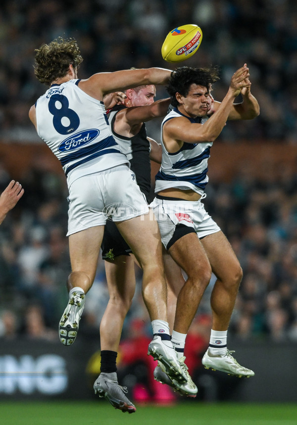 AFL 2024 Second Qualifying Final - Port Adelaide v Geelong - A-53693625