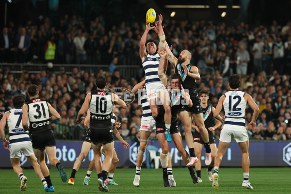 AFL 2024 Second Qualifying Final - Port Adelaide v Geelong - A-53693626