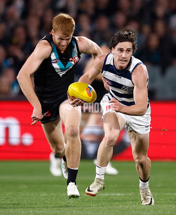 AFL 2024 Second Qualifying Final - Port Adelaide v Geelong - A-53693640