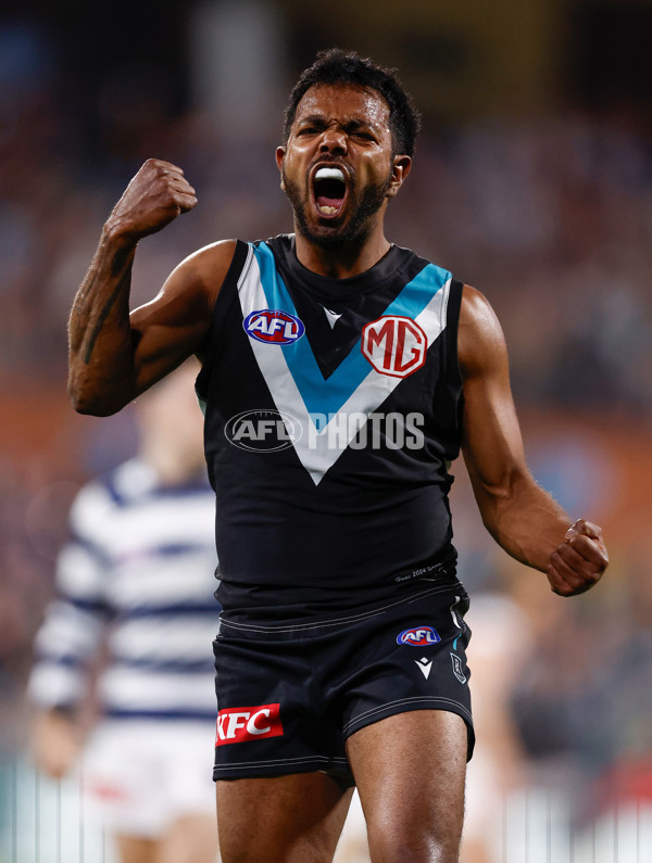 AFL 2024 Second Qualifying Final - Port Adelaide v Geelong - A-53693656