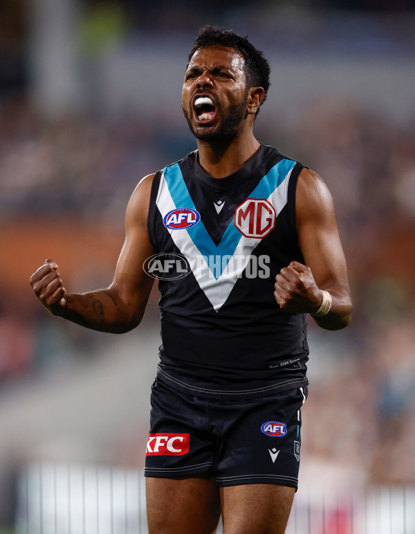 AFL 2024 Second Qualifying Final - Port Adelaide v Geelong - A-53693665