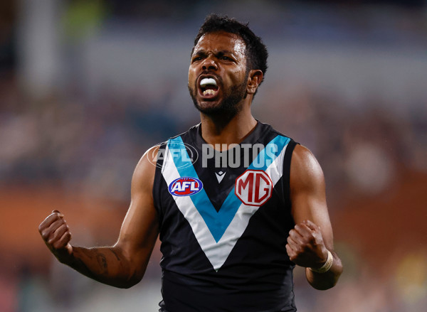 AFL 2024 Second Qualifying Final - Port Adelaide v Geelong - A-53693666
