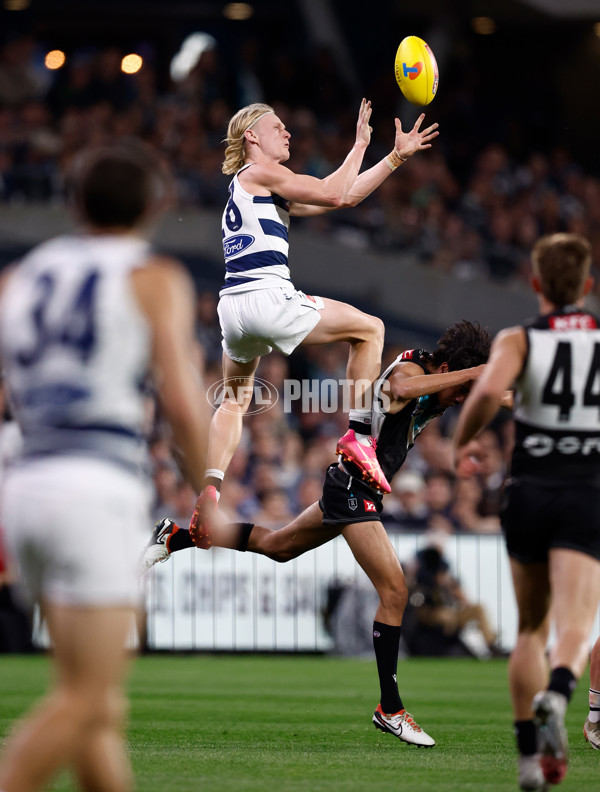 AFL 2024 Second Qualifying Final - Port Adelaide v Geelong - A-53693687