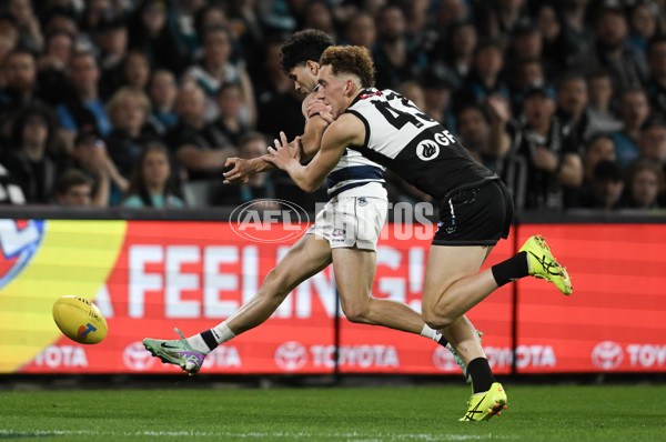 AFL 2024 Second Qualifying Final - Port Adelaide v Geelong - A-53693703