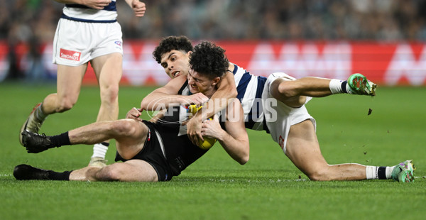 AFL 2024 Second Qualifying Final - Port Adelaide v Geelong - A-53693714