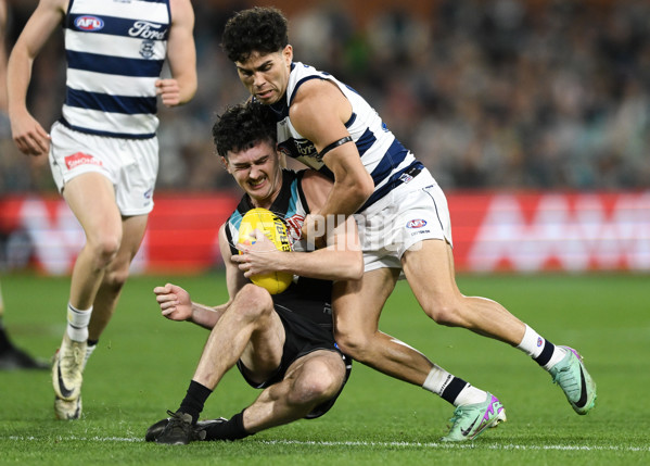 AFL 2024 Second Qualifying Final - Port Adelaide v Geelong - A-53693715