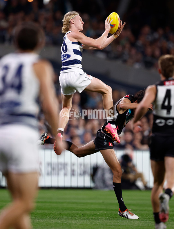 AFL 2024 Second Qualifying Final - Port Adelaide v Geelong - A-53695337