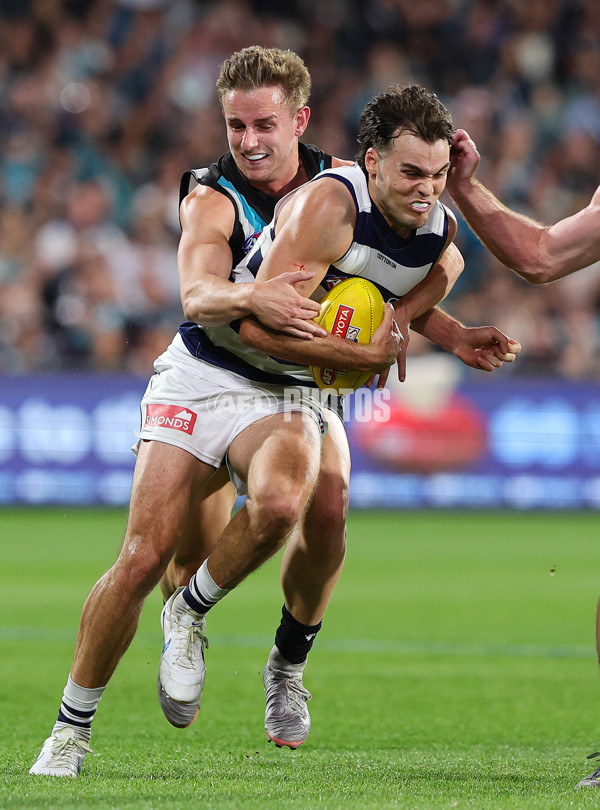 AFL 2024 Second Qualifying Final - Port Adelaide v Geelong - A-53695365