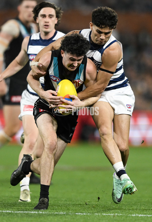 AFL 2024 Second Qualifying Final - Port Adelaide v Geelong - A-53695372