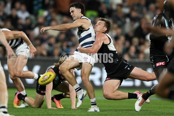 AFL 2024 Second Qualifying Final - Port Adelaide v Geelong - A-53695378