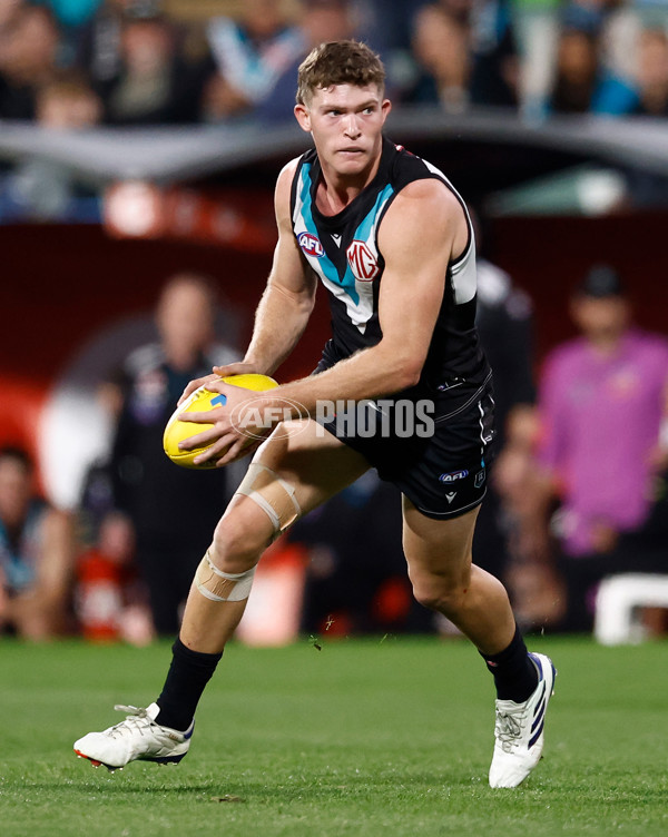 AFL 2024 Second Qualifying Final - Port Adelaide v Geelong - A-53695389