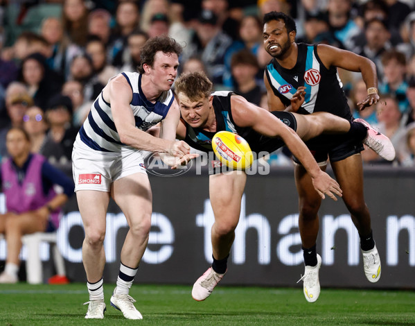 AFL 2024 Second Qualifying Final - Port Adelaide v Geelong - A-53695393