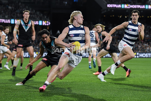 AFL 2024 Second Qualifying Final - Port Adelaide v Geelong - A-53695415