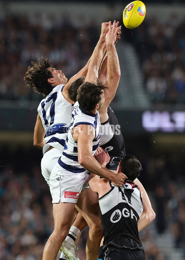 AFL 2024 Second Qualifying Final - Port Adelaide v Geelong - A-53695416