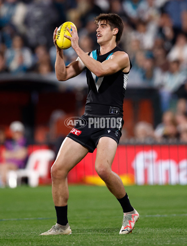 AFL 2024 Second Qualifying Final - Port Adelaide v Geelong - A-53695428