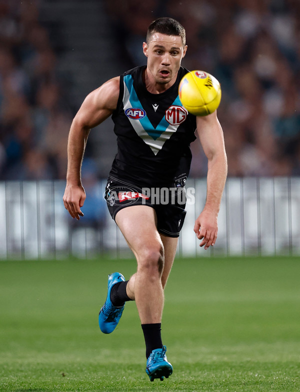 AFL 2024 Second Qualifying Final - Port Adelaide v Geelong - A-53696352