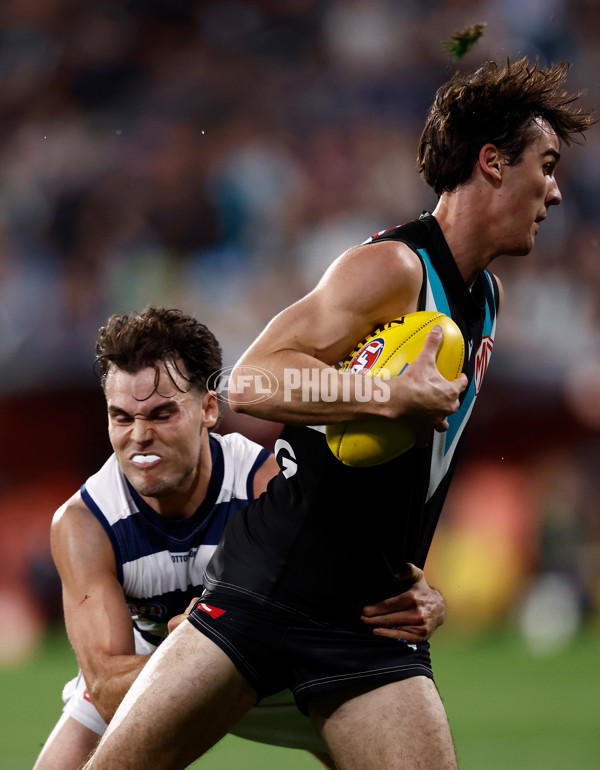 AFL 2024 Second Qualifying Final - Port Adelaide v Geelong - A-53696354