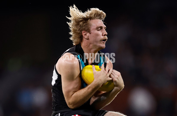 AFL 2024 Second Qualifying Final - Port Adelaide v Geelong - A-53696357