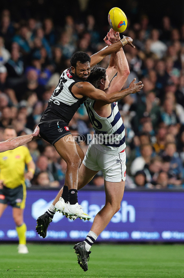 AFL 2024 Second Qualifying Final - Port Adelaide v Geelong - A-53696362