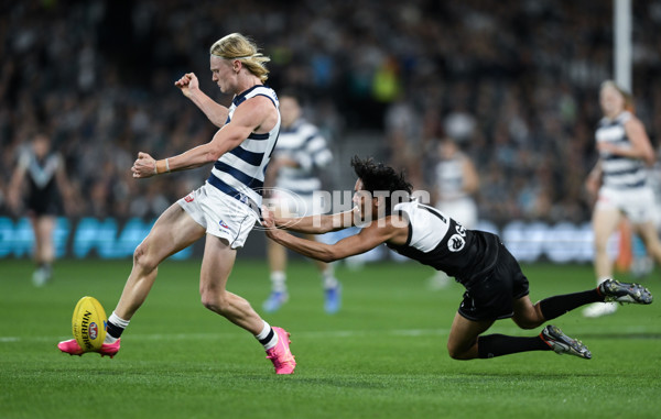 AFL 2024 Second Qualifying Final - Port Adelaide v Geelong - A-53696389
