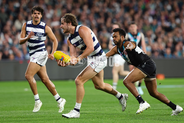 AFL 2024 Second Qualifying Final - Port Adelaide v Geelong - A-53696392