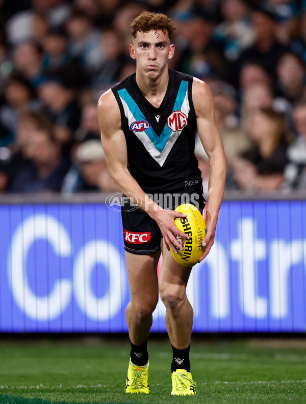 AFL 2024 Second Qualifying Final - Port Adelaide v Geelong - A-53697660