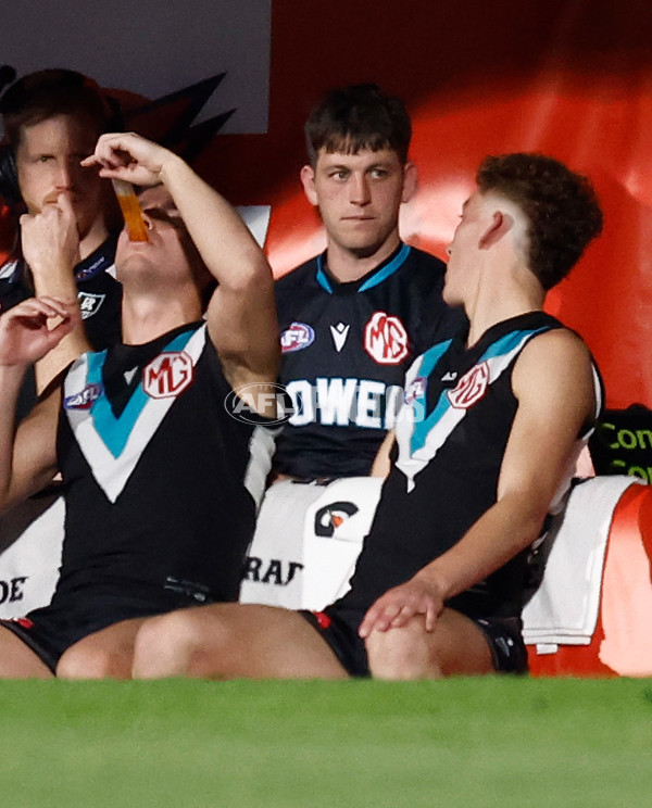 AFL 2024 Second Qualifying Final - Port Adelaide v Geelong - A-53697674