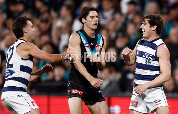 AFL 2024 Second Qualifying Final - Port Adelaide v Geelong - A-53697684