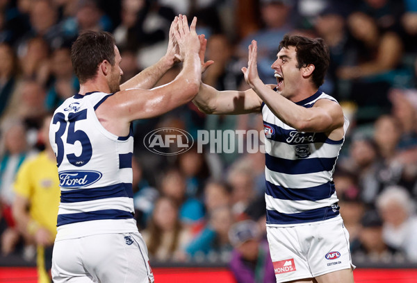 AFL 2024 Second Qualifying Final - Port Adelaide v Geelong - A-53697685