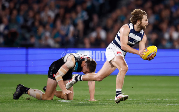 AFL 2024 Second Qualifying Final - Port Adelaide v Geelong - A-53697708