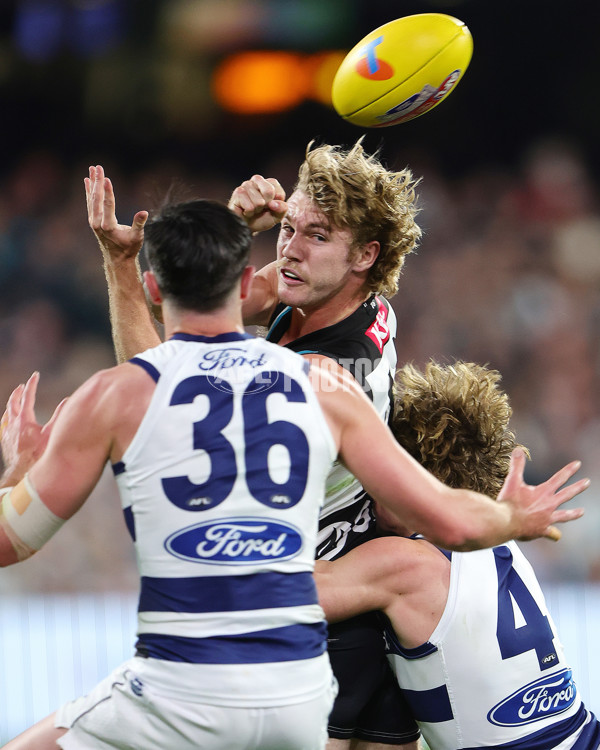 AFL 2024 Second Qualifying Final - Port Adelaide v Geelong - A-53698976