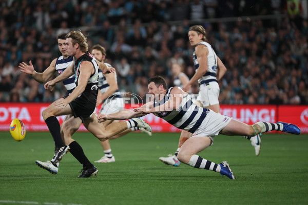 AFL 2024 Second Qualifying Final - Port Adelaide v Geelong - A-53698980