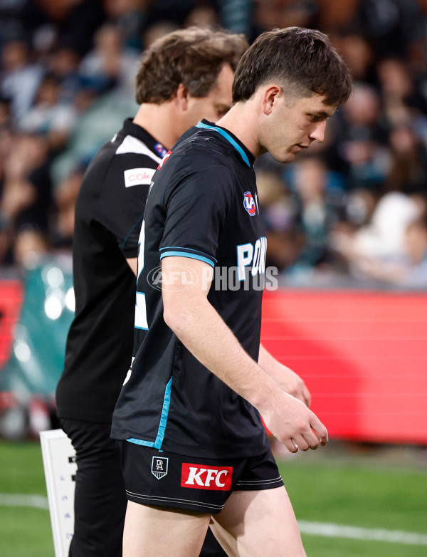 AFL 2024 Second Qualifying Final - Port Adelaide v Geelong - A-53698998